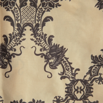 【COMING SOON】Dragon rain coat 詳細画像