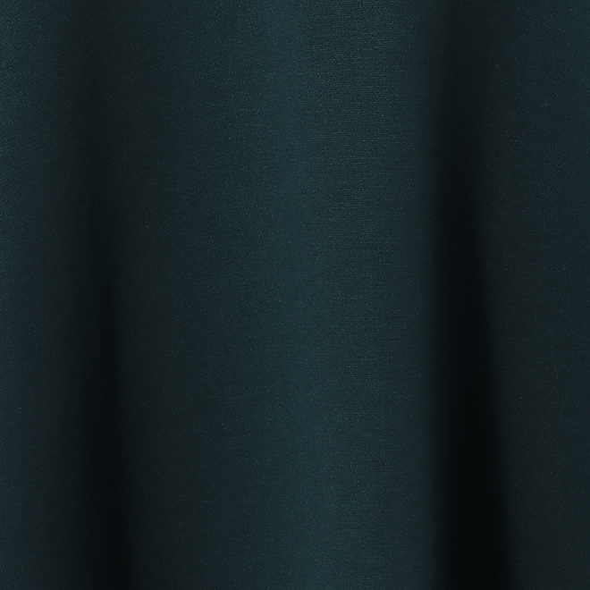WL　カラーボトム　スカート 詳細画像 グリーン 2