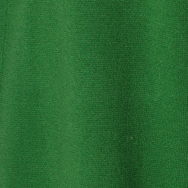 WLC 抗ピルミラノリブニット　パンツ 詳細画像 グリーン 6