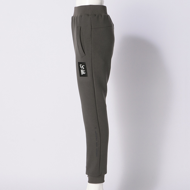 _V3 ECO BLUE  Jogger Pants　パンツ 詳細画像 グレー 2