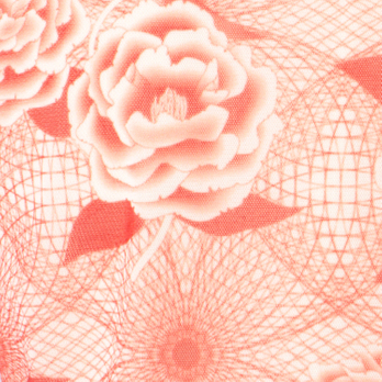 【期間限定】PEONY PRINT NET　ドレス 詳細画像