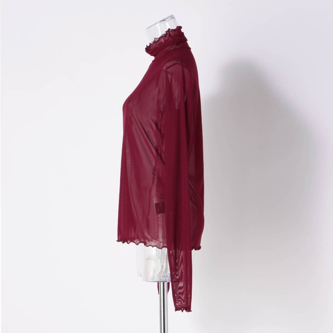 SOLID NETTING　ブラウス 詳細画像 レッド 2
