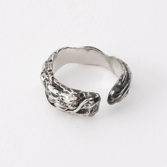 DRAGON RING 詳細画像 シルバー 1