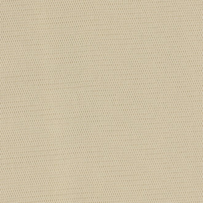MUM EMB ON STRETCH NETTING PULL OVER　ブラウス 詳細画像 ホワイト 6