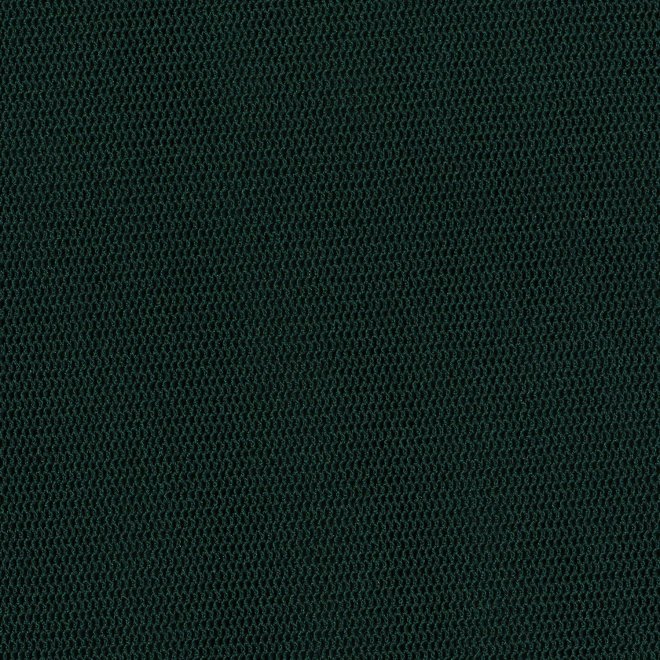MUM EMB ON STRETCH NETTING PULL OVER　ブラウス 詳細画像 グリーン 8