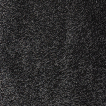 FAKE LEATHER with DRAGON PATCH FLARE　スカート 詳細画像