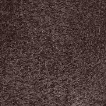 FAKE LEATHER with DRAGON PATCH FLARE　スカート 詳細画像