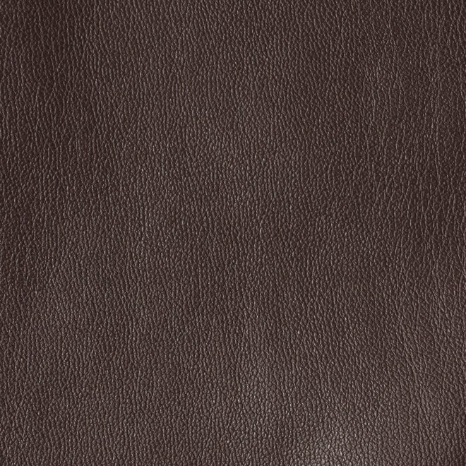 FAKE LEATHER with DRAGON PATCH FLARE　スカート 詳細画像 ダークブラウン 6