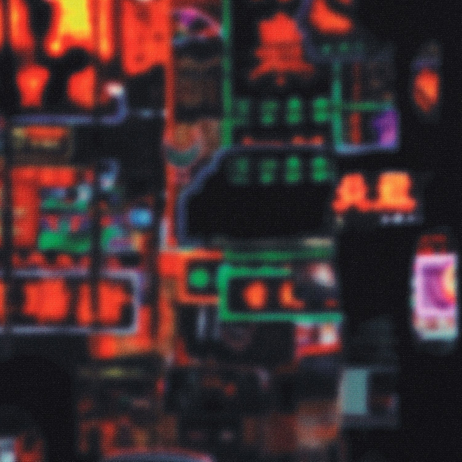 HONG KONG NEON PRINT　スカート 詳細画像 黒系マルチ 10