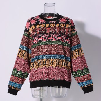 SOLIDARITY STRIPE PRINT　プルオーバー