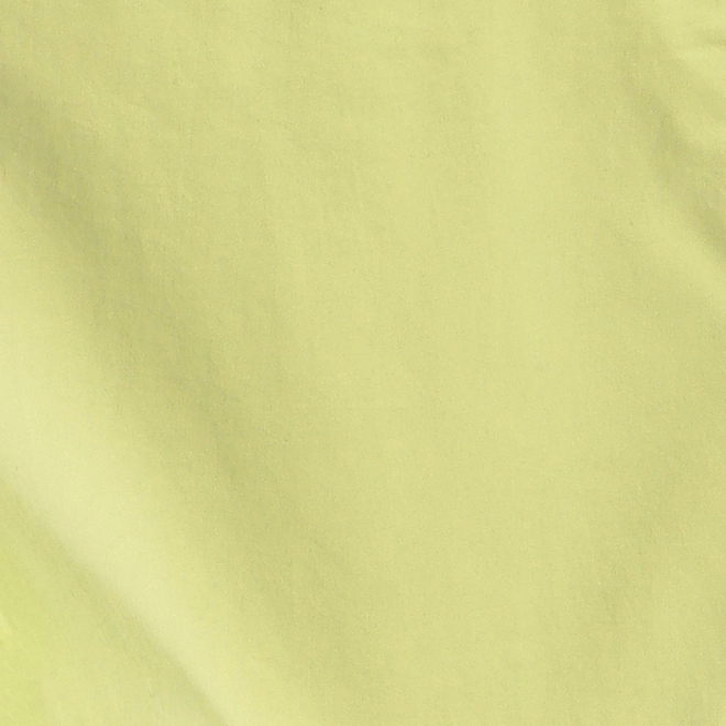 CHRASICAL PEONY PRINT ON SPUN LAWN　ブラウス 詳細画像 グリーン 10