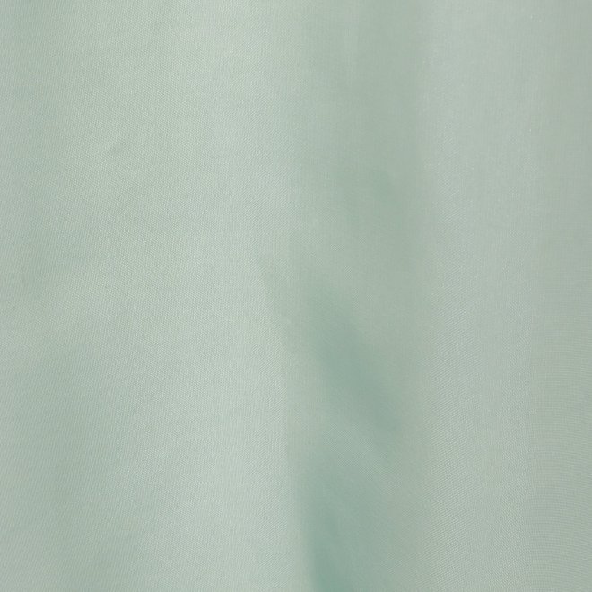 MATTE ORGANZA　ブラウス 詳細画像 グリーン 6