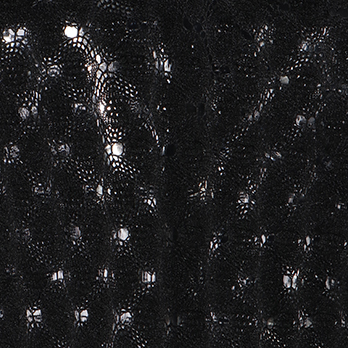 STRETCH LACE　ブラウス 詳細画像