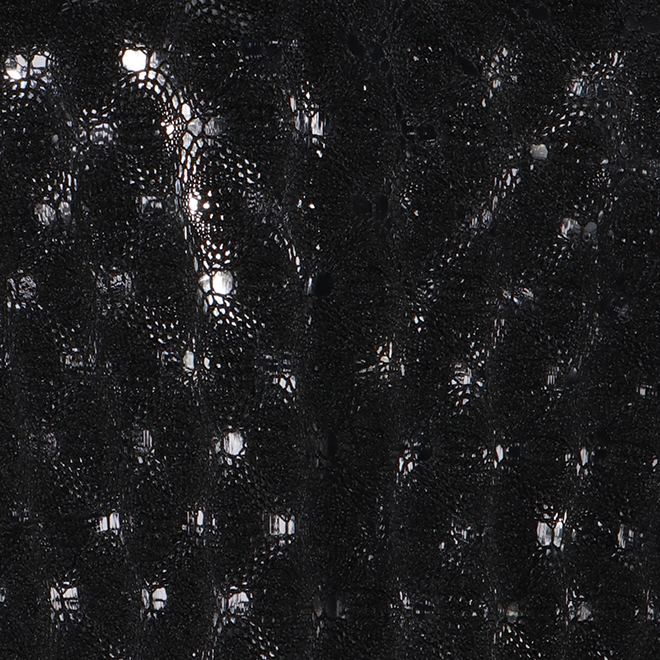 STRETCH LACE　ブラウス 詳細画像 ブラック 2
