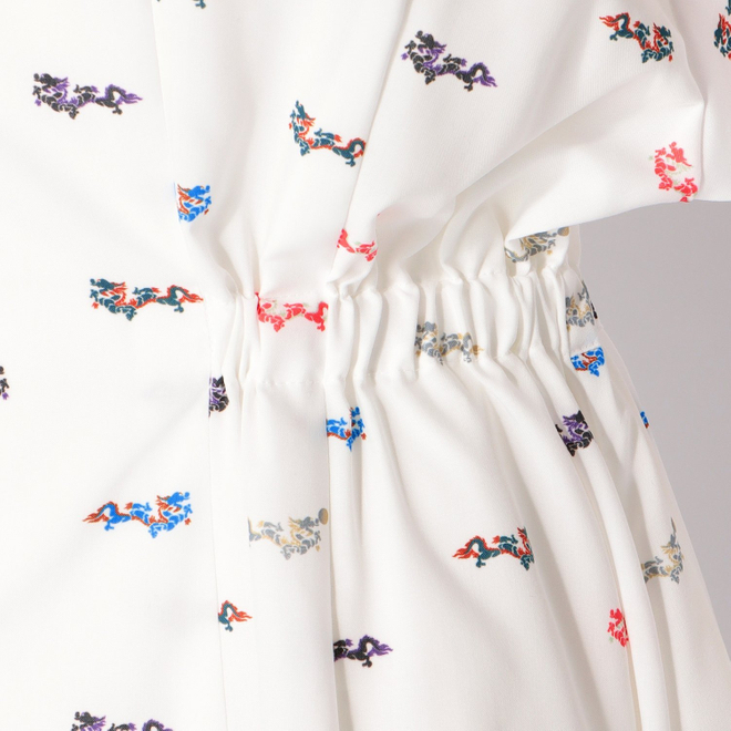 MINI DRAGON PRINT SHIRT　ドレス 詳細画像 白系マルチ 8