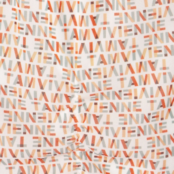 VT LOGO PRINT NETTING　スカート 詳細画像