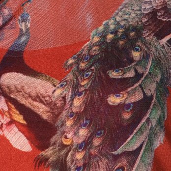 PEACOCK PRINT NET　ドレス 詳細画像