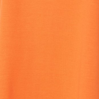GOLDFISH PRINT TEE　カットソー 詳細画像