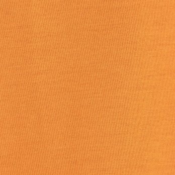 GOLDFISH PRINT TEE　カットソー 詳細画像