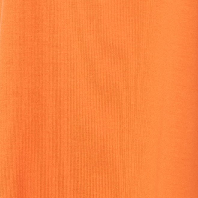 GOLDFISH PRINT TEE　カットソー 詳細画像 オレンジ 6