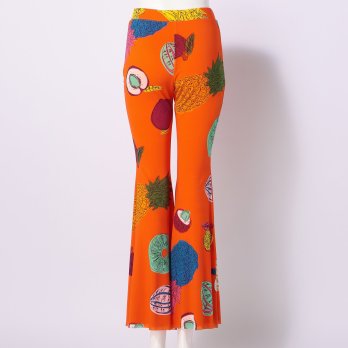 BIG FRUIT PRINT ON STRETCH NETTING　パンツ 詳細画像