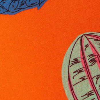 BIG FRUIT PRINT ON STRETCH NETTING　パンツ 詳細画像