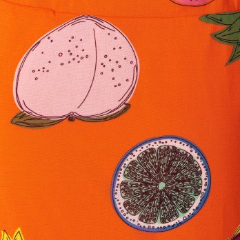 BIG FRUIT PRINT ON STRETCH NETTING　ドレス 詳細画像