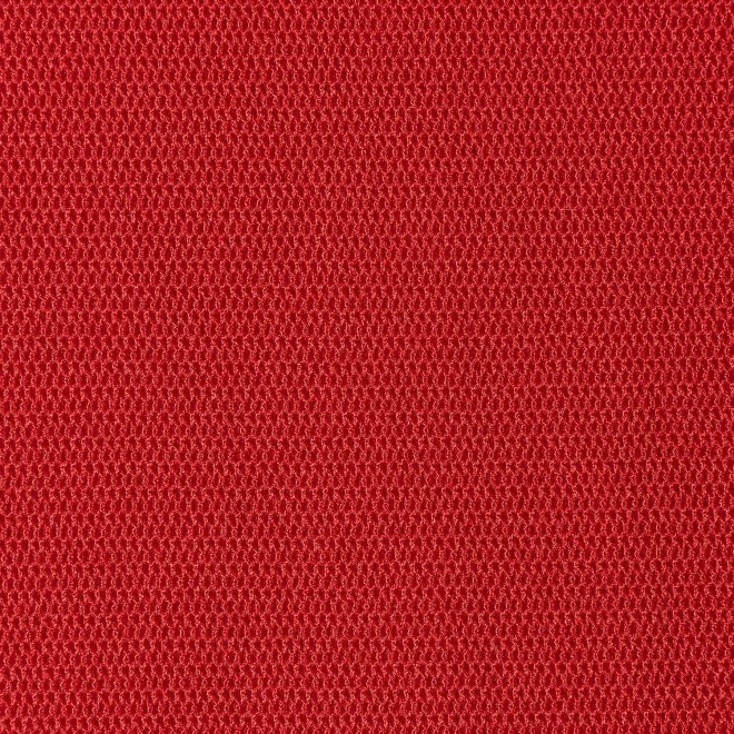 SOLID NET　スカート 詳細画像 レッド 6