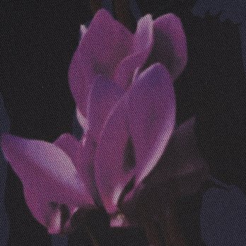 CYCLAMEN PRINT NETTING　ドレス 詳細画像