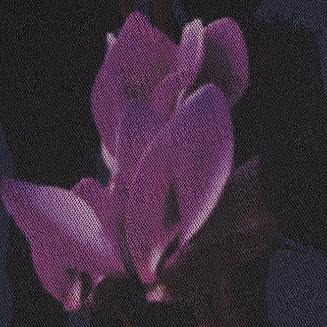 CYCLAMEN PRINT NETTING　ドレス 詳細画像 黒系マルチ 6