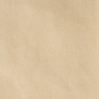 【期間限定】ORGANZA BLOUSE 詳細画像