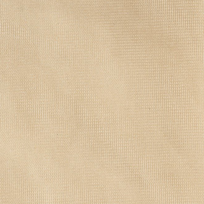【期間限定】ORGANZA BLOUSE 詳細画像 ベージュ 7