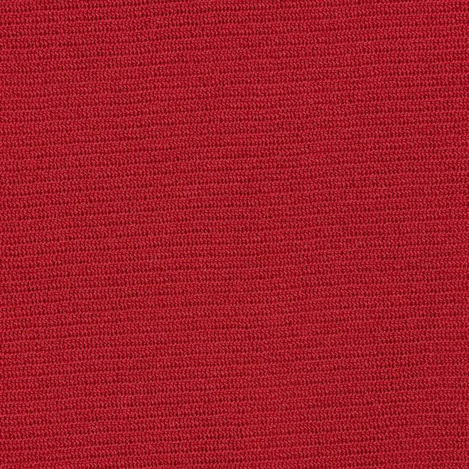 SOLID STRETCH NETTING　ブラウス 詳細画像 レッド 2