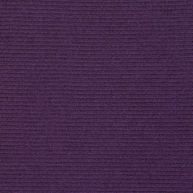 SOLID STRETCH NETTING　ブラウス 詳細画像 パープル 10