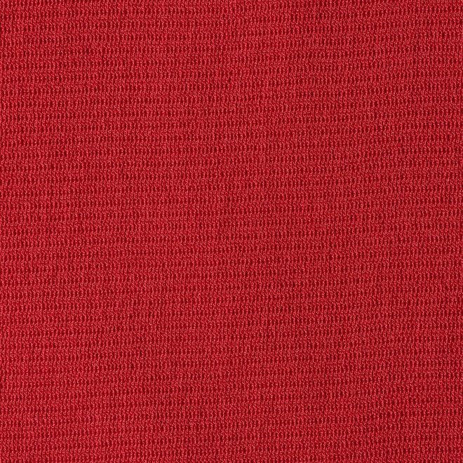 SOLID STRETCH NETTING　スカート 詳細画像 レッド 3