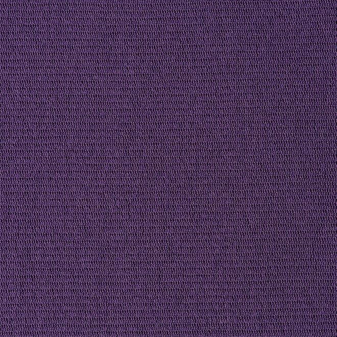 SOLID STRETCH NETTING　スカート 詳細画像 パープル 6