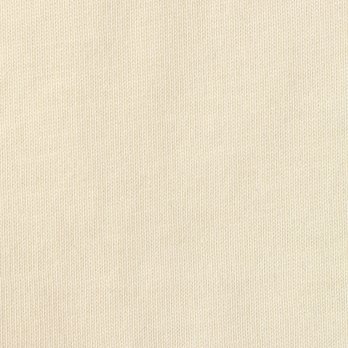 【期間限定】DRAGON APPLIQUE ON T-SHIRT 詳細画像
