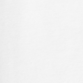 【期間限定】LACE DRAGON ON T-SHIRT 詳細画像