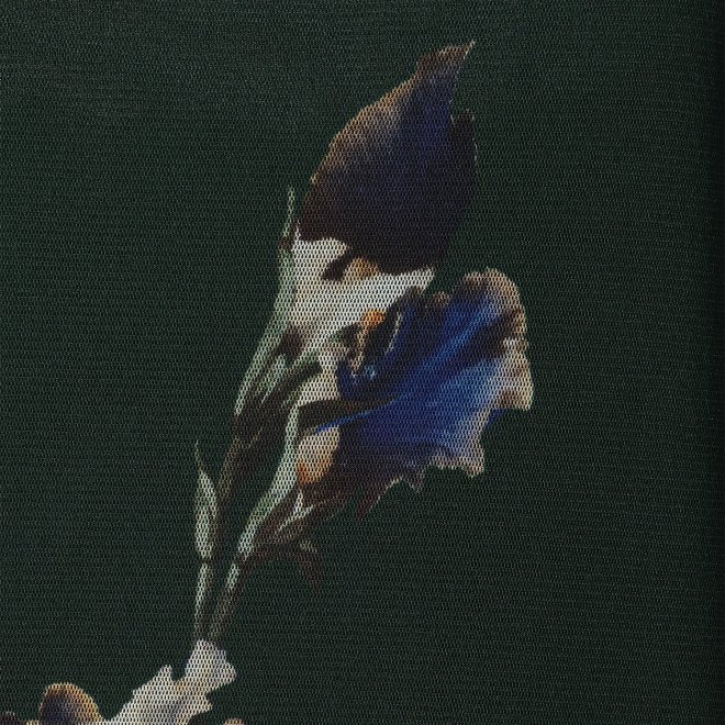 IRIS PRINT NETTING　ドレス 詳細画像 グリーン系マルチ 2