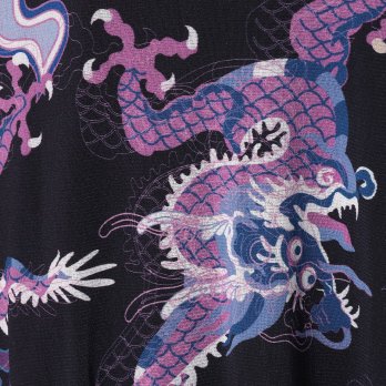 DRAGON CLOUD PRINTED STRETCH NET　ドレス 詳細画像