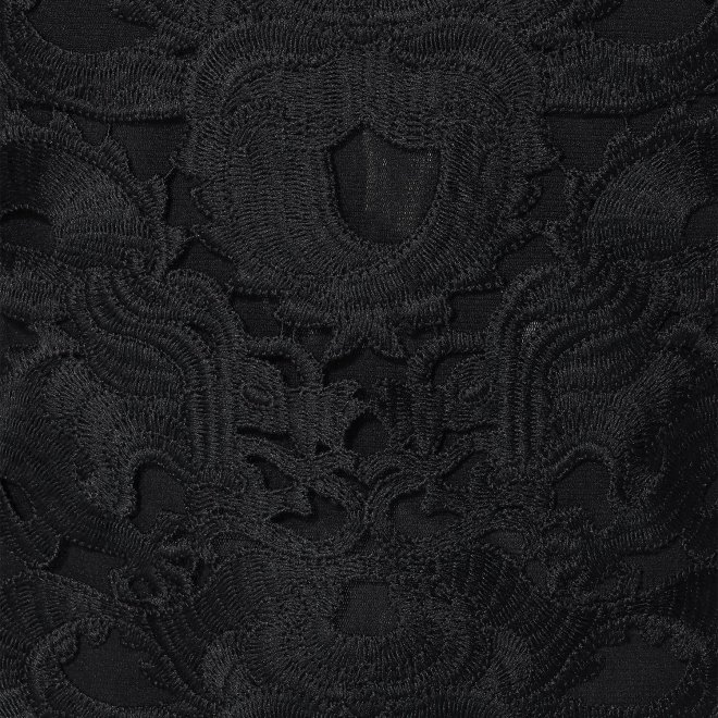 DRAGON LACE　ブラウス 詳細画像 ブラック 3