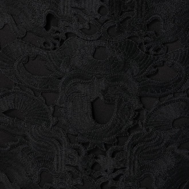 DRAGON LACE　スカート 詳細画像 ブラック 2