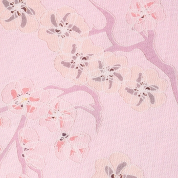 PLUM PRINT ON STRETCH NETTING　スカート 詳細画像