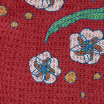 PLUM PRINT ON STRETCH NETTING　ドレス 詳細画像