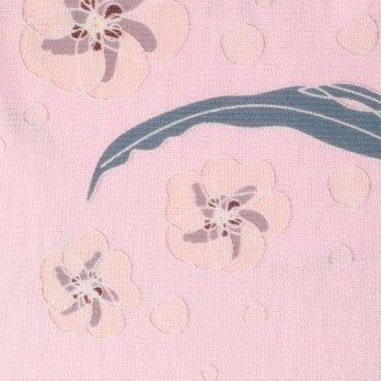 PLUM PRINT ON STRETCH NETTING　ドレス 詳細画像