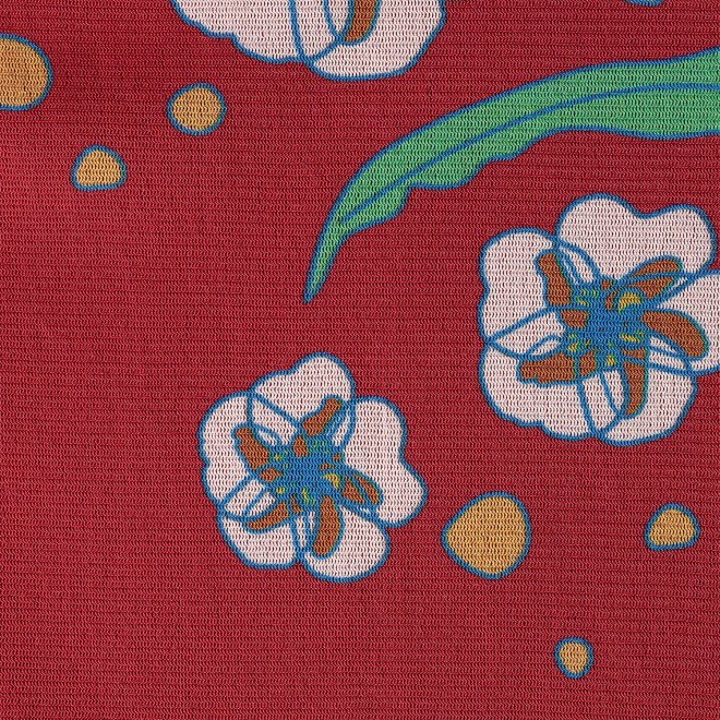 PLUM PRINT ON STRETCH NETTING　ドレス 詳細画像 レッド 3