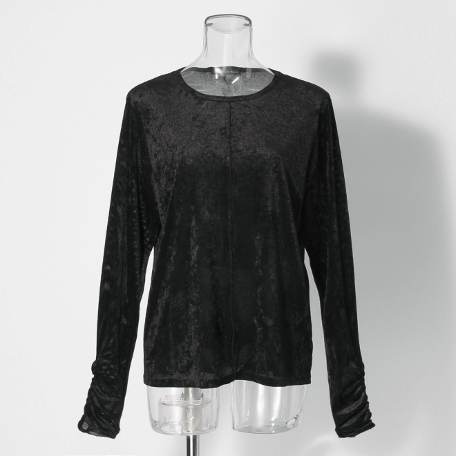 Sheer velor ブラウス 詳細画像 ブラック 1