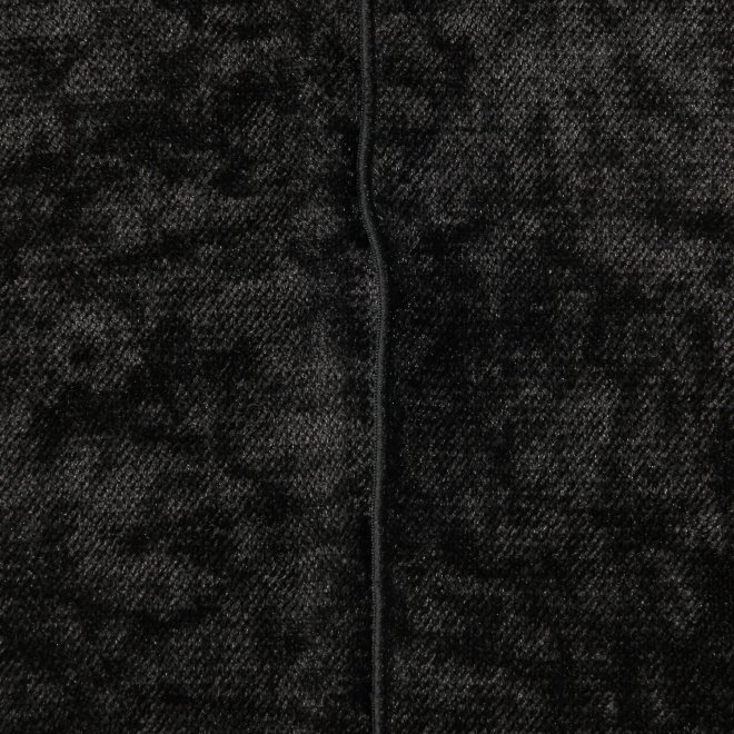 Sheer velor ブラウス 詳細画像 ブラック 2