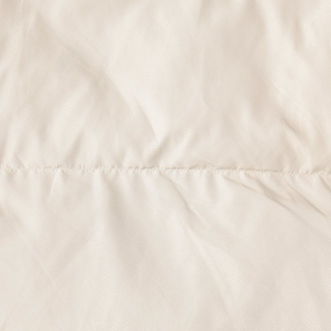 【COMING SOON】WL プリーツレイヤードフードピュアダウン コート 詳細画像 ホワイト 2