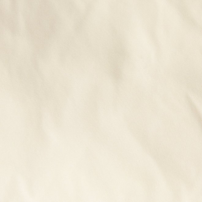 【COMING SOON】WL ストレッチフードミドルピュアダウン コート 詳細画像 ホワイト 2